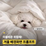 이불 밖은 위험해! 이불 속 우리 강아지 겨울 배경화면 프롬프트❄️